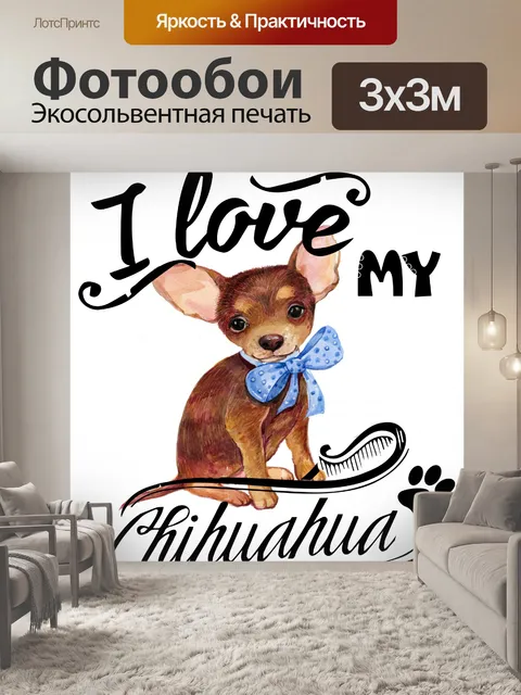 Фотообои Плакат с собакой чихуахуа