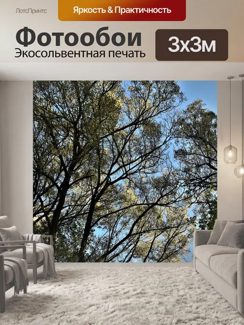 Фотообои Деревья