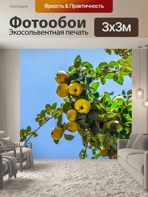 Фотообои Персиковое дерево