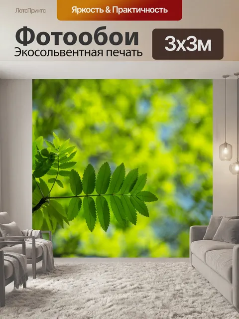 Фотообои Зеленые листья