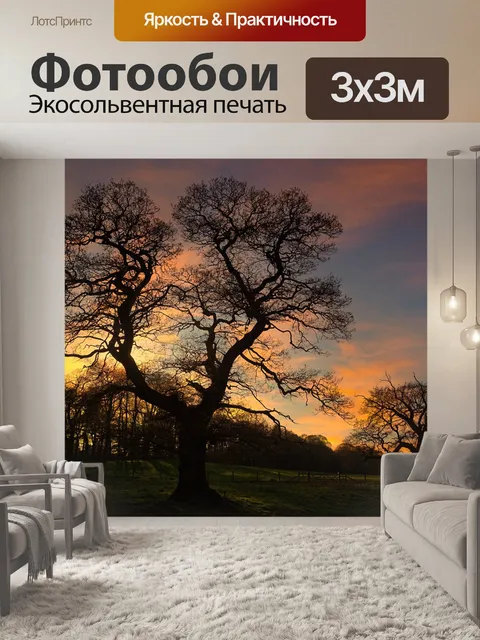 Фотообои Деревья