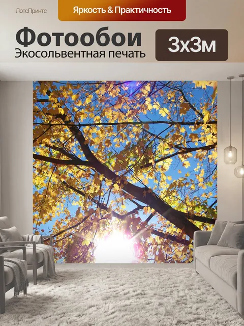 Фотообои Осенние листья