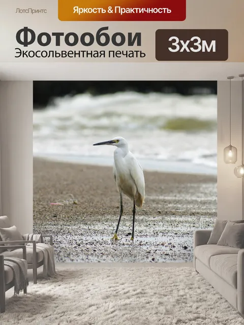 Фотообои Животное