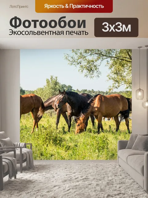 Фотообои Лошади