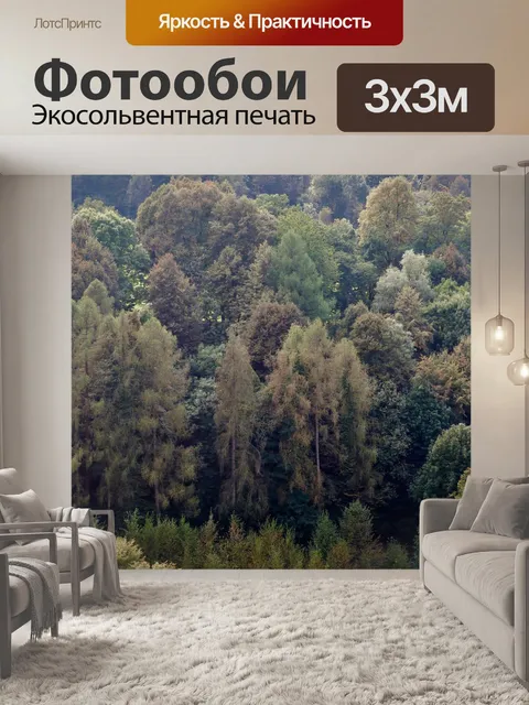 Фотообои Лес
