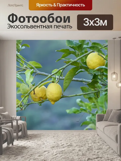 Фотообои Лимоны