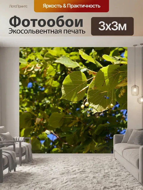 Фотообои Липа
