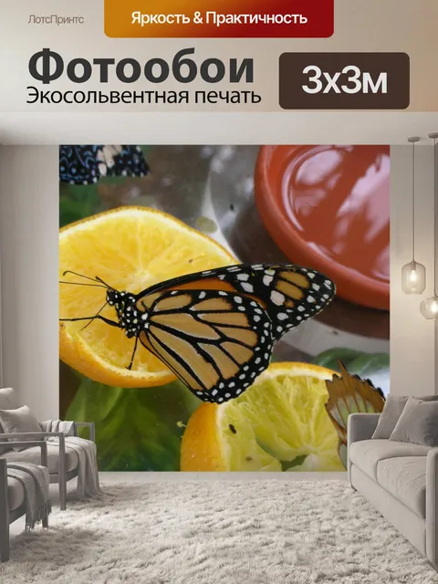 Фотообои Бабочка