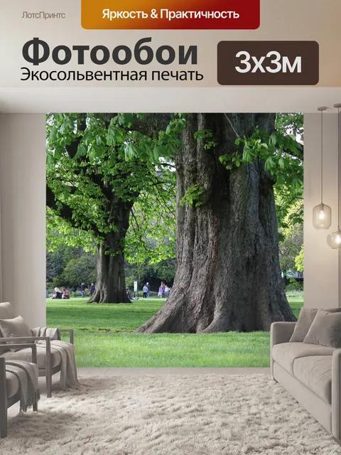 Фотообои Дерево