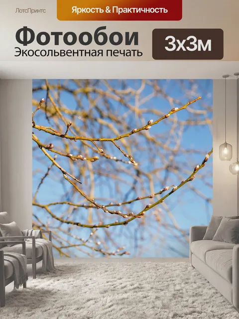 Фотообои Бутон