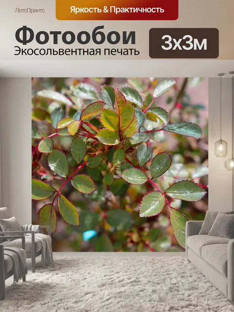 Фотообои Листья