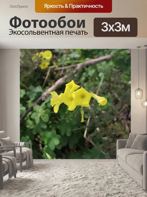 Фотообои Цветы
