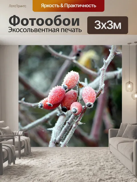 Фотообои Дикие розы