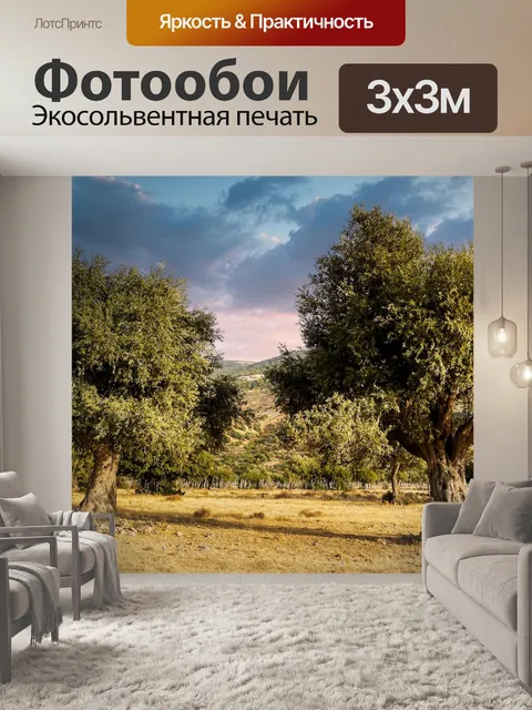 Фотообои Деревья