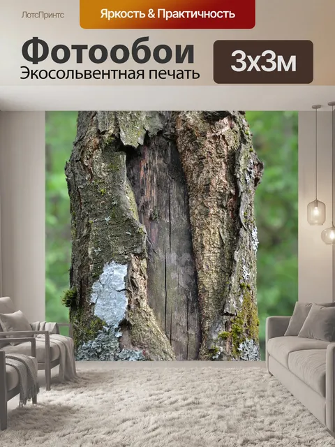 Фотообои Дерево