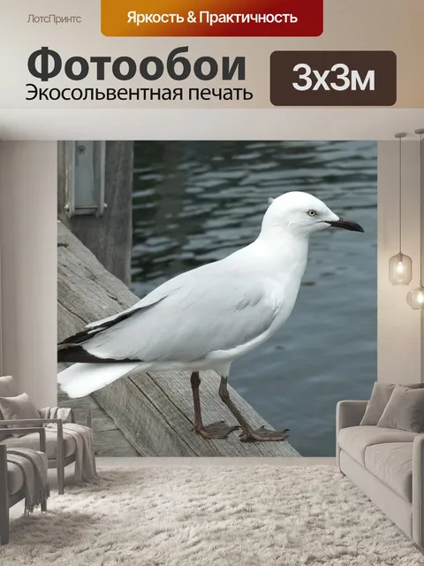 Фотообои Птица