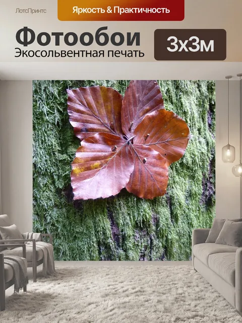 Фотообои Падение
