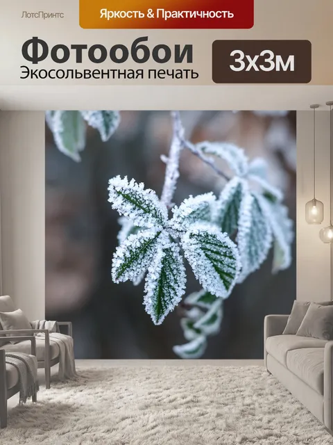 Фотообои Ледяной цветок