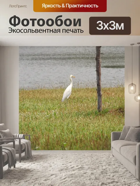 Фотообои Птица
