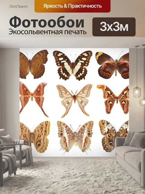 Фотообои Бабочки