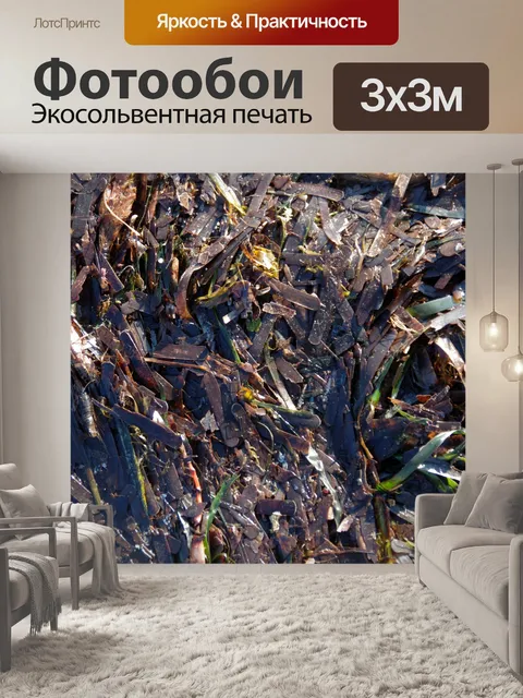 Фотообои Морская водоросль текстура фон
