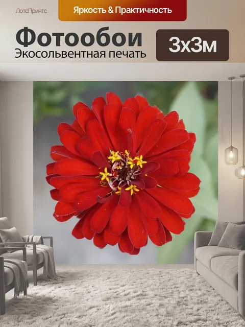 Фотообои Цветы