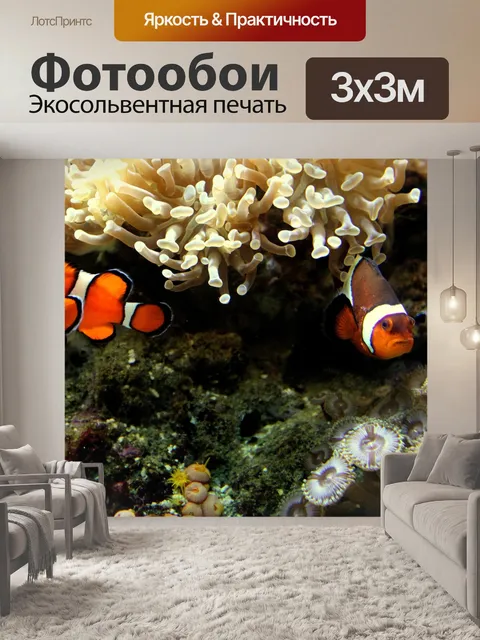 Фотообои Красота