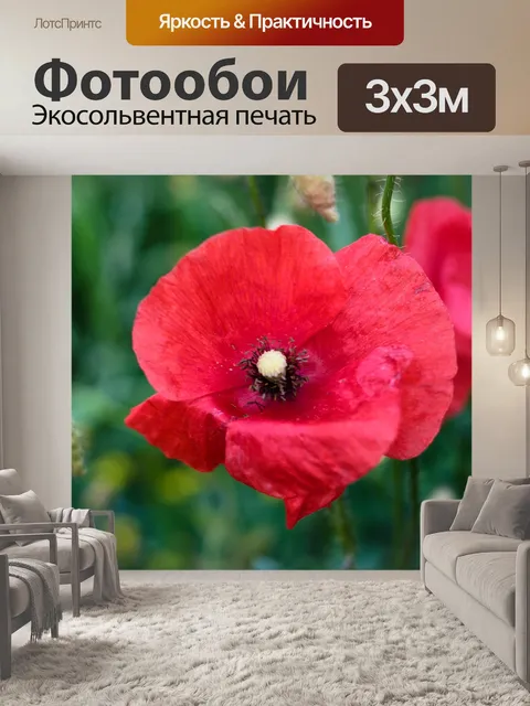Фотообои Цветок