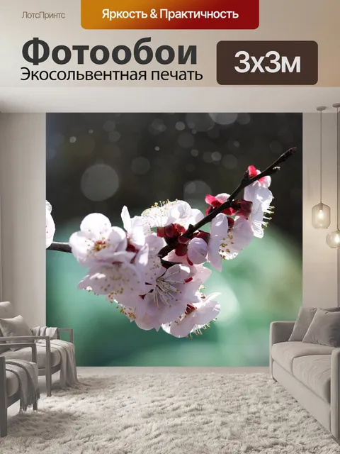Фотообои Флора