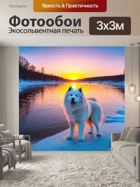 Фотообои вечером самоед стоит на берегу замерзшего озера, где отражается зимний закат