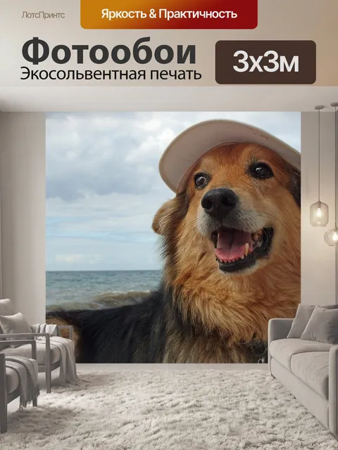 Фотообои Собака