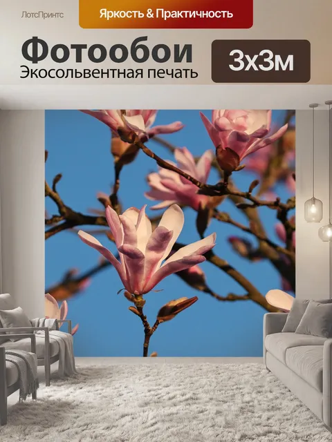 Фотообои Магнолии