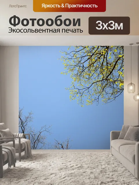 Фотообои Весна