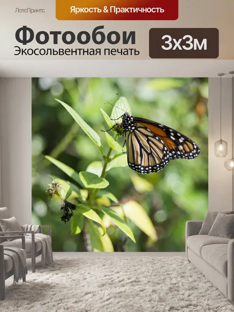 Фотообои Бабочка