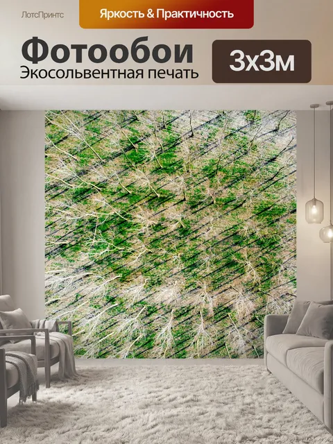 Фотообои Деревья