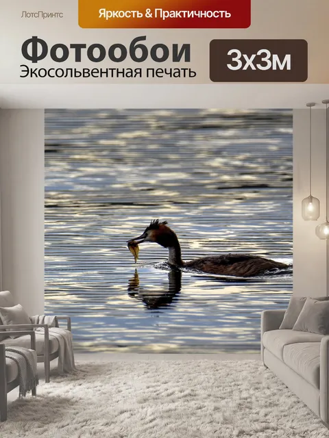 Фотообои Рыбы