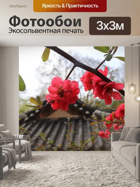 Фотообои Зеленый