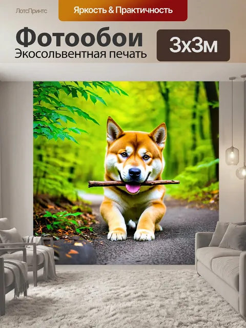 Фотообои сnapshot сиба ину, с удовольствием жующего палочку в лесу, окруженный яркими зелеными листьями