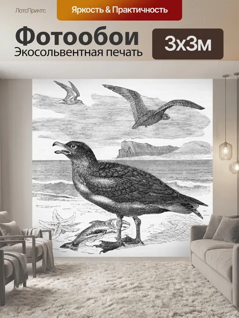 Фотообои Поморник