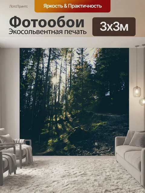 Фотообои Лес