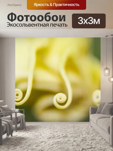 Фотообои Цветок