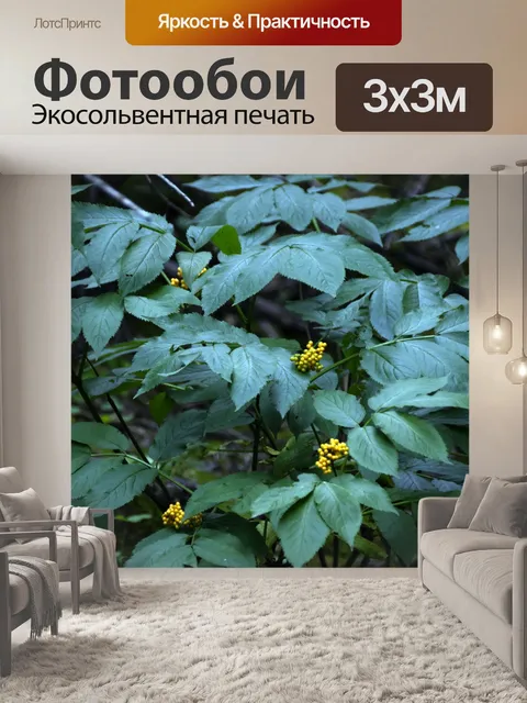 Фотообои куст желтой ягоды
