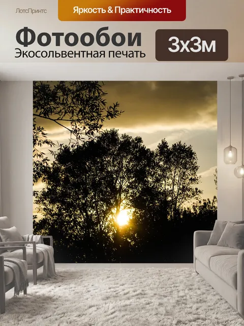 Фотообои Силуэт