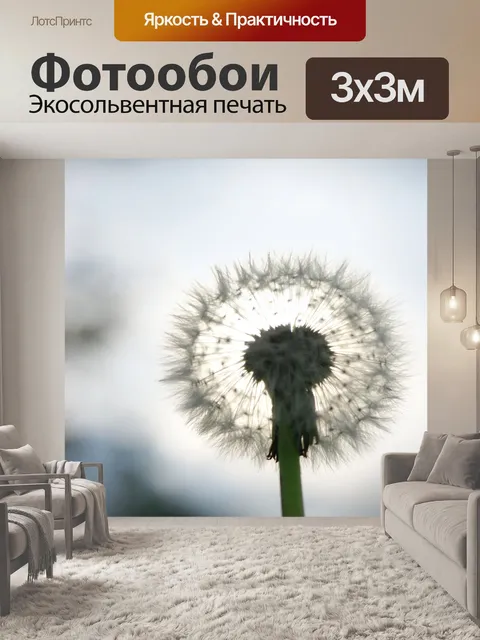 Фотообои Одуванчик