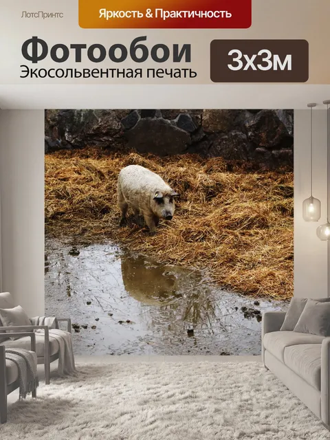 Фотообои Свиньи