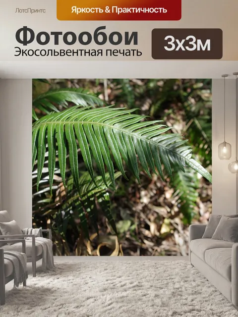 Фотообои Папоротник