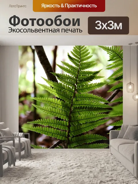 Фотообои Папоротник