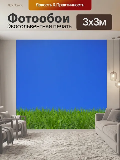 Фотообои Травяной луг голубое небо