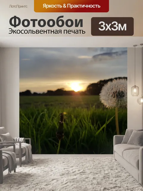 Фотообои Солнце