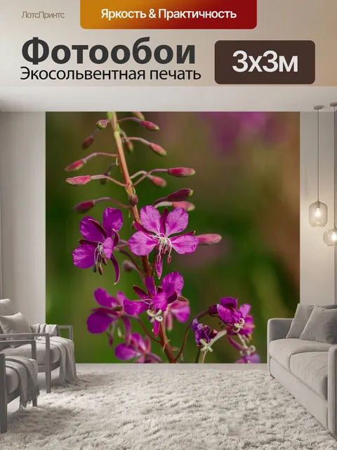 Фотообои Кипрей